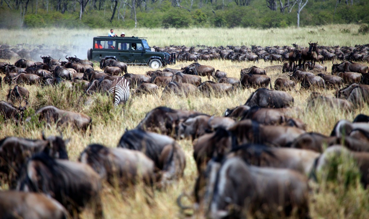 Migration Safaris