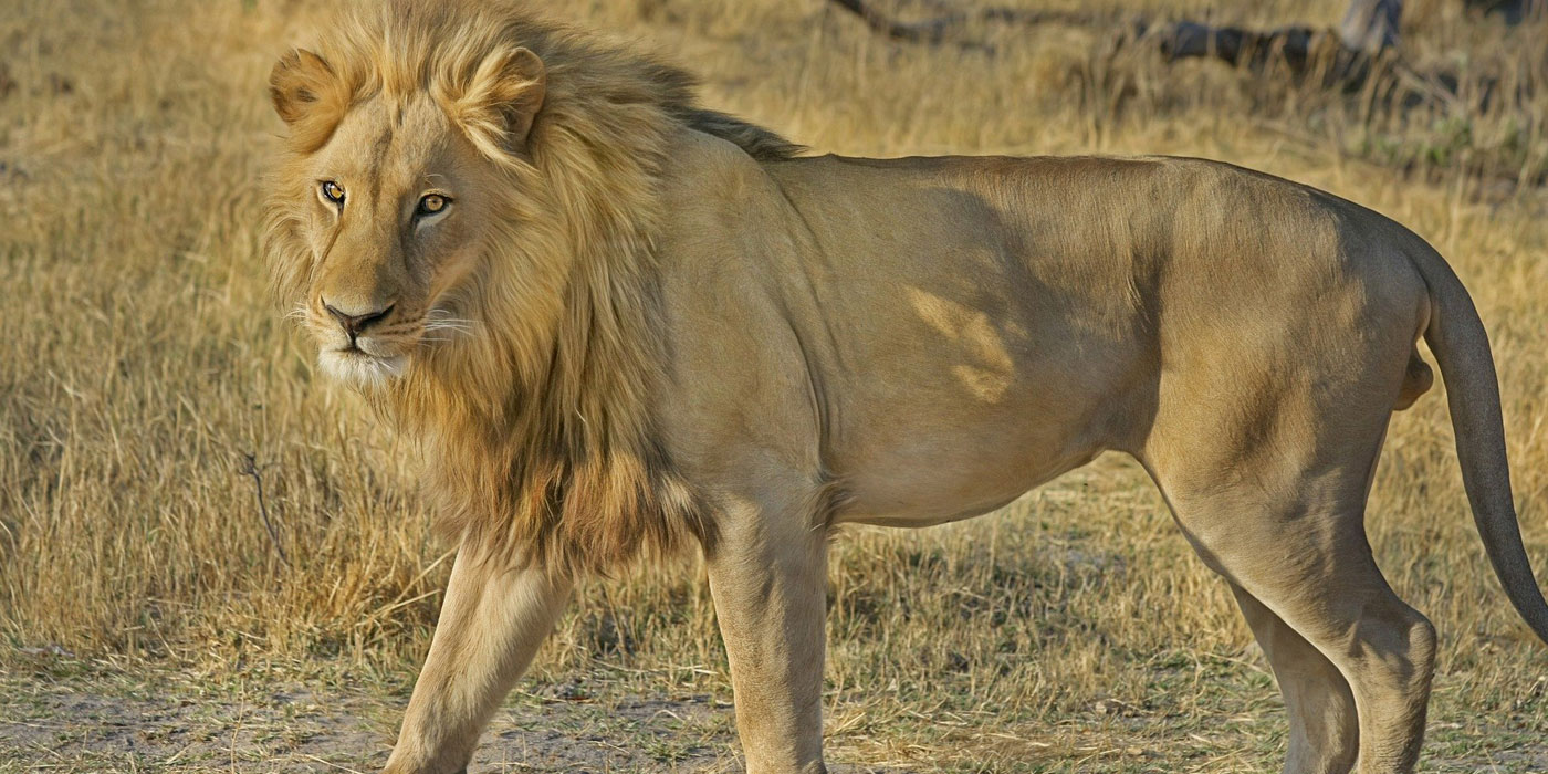15-days-kenya-safari