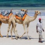 kenya-budget-beach-safari