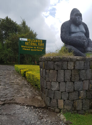 Rwanda Gorilla Safaris