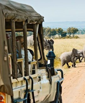 Tanzania