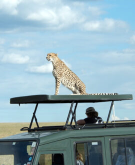 East Africa