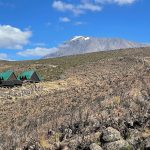 7 Days Mt. Kilimanjaro Climbing