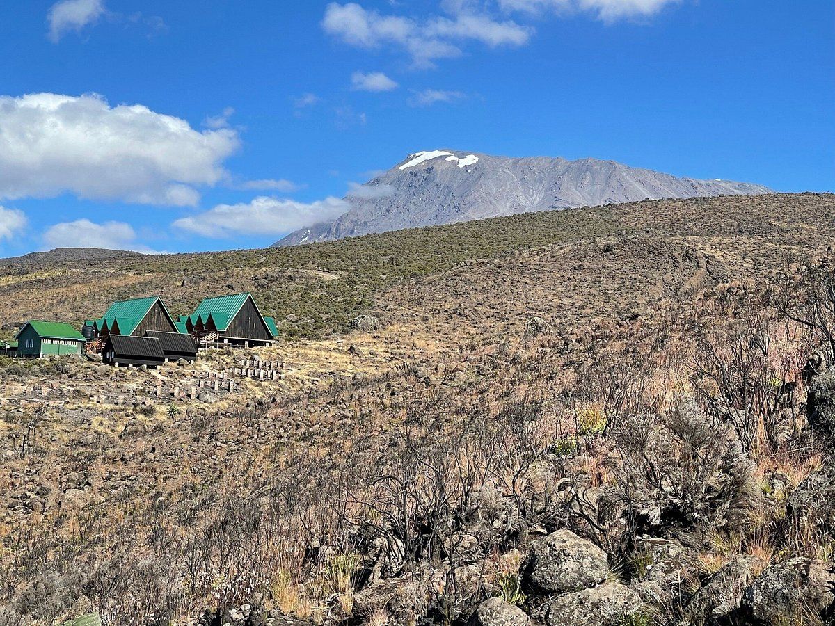 Read more about the article 7 Days Mt. Kilimanjaro Climbing