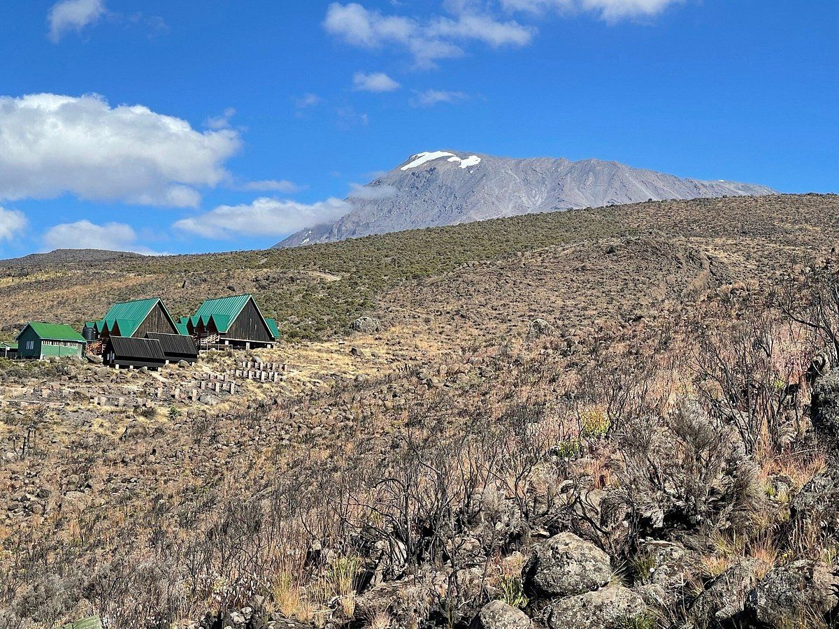 7 Days Mt. Kilimanjaro Climbing