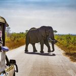 3 Days Mombasa Tsavo East and Amboseli Safari