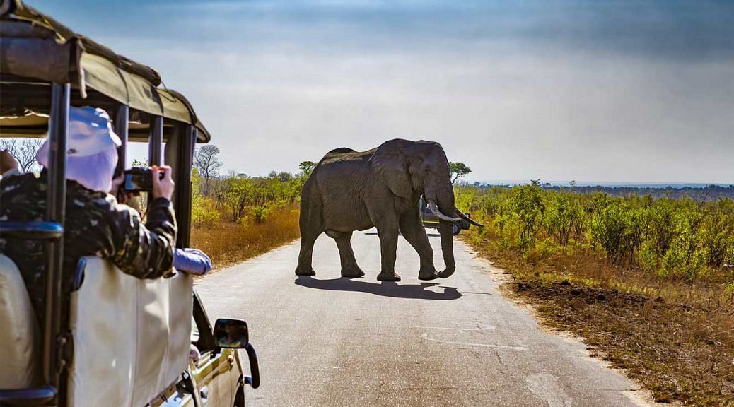 Read more about the article 3 Days Mombasa Tsavo East and Amboseli Safari