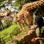 kenya and tanzania safari itinerary