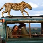 18 Days East Africa Adventure Safari