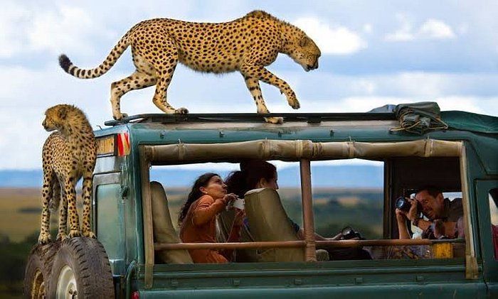 Read more about the article 18 Days East Africa Adventure Safari