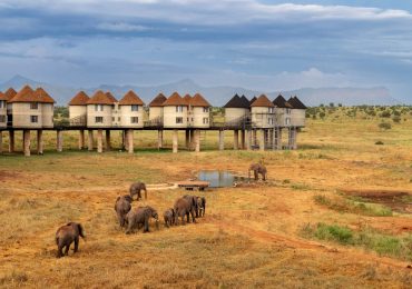 Read more about the article 3 Days Mombasa Taita Hills and Ngutuni Safari