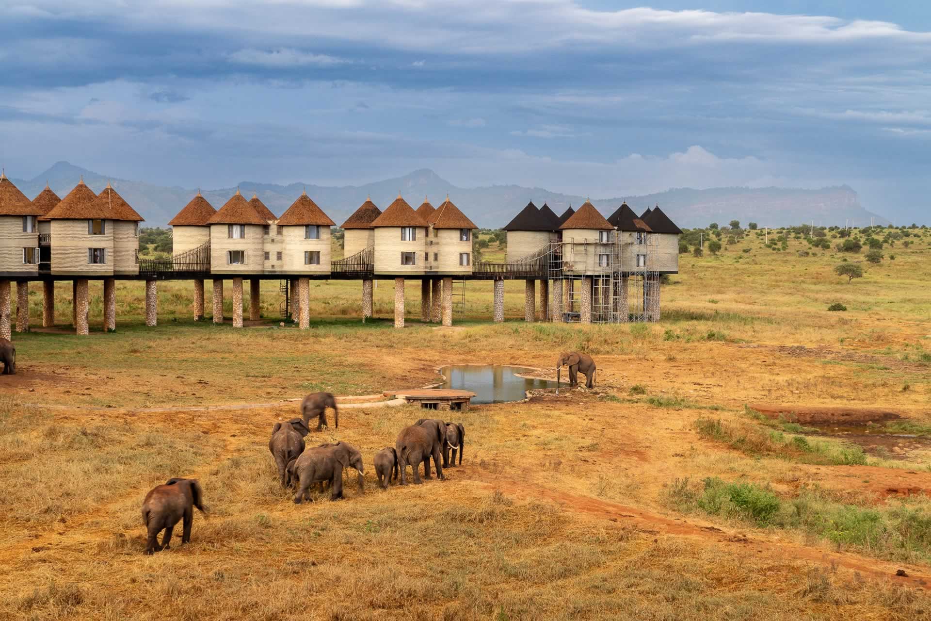 Taita Hills Sanctuary and Ngutuni tour from Mombasa