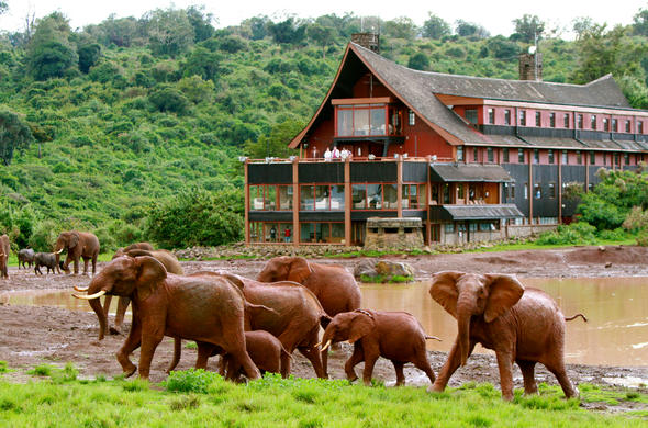 Read more about the article Safari Accommodation Options in Kenya