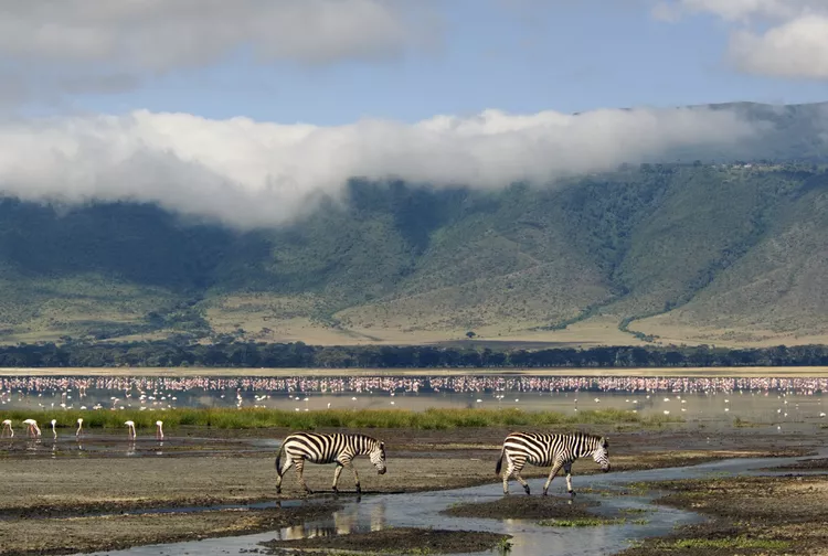 Read more about the article Ngorongoro Conservation Area