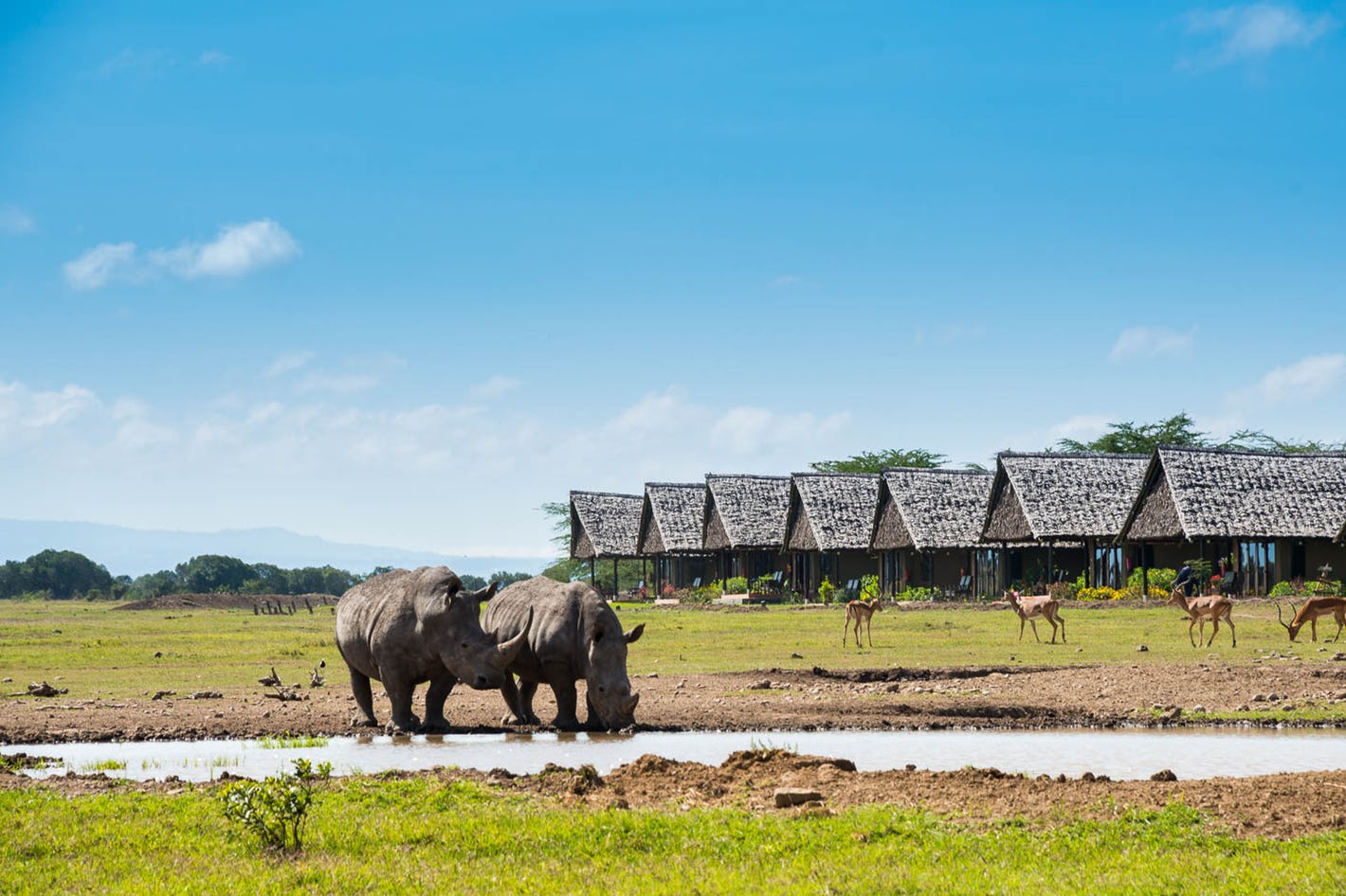 Read more about the article Ol Pejeta Conservancy