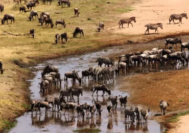 tarangire-national-park