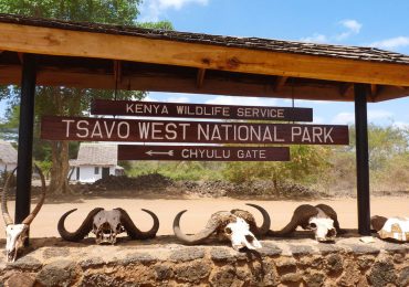 Read more about the article Tsavo West National Park