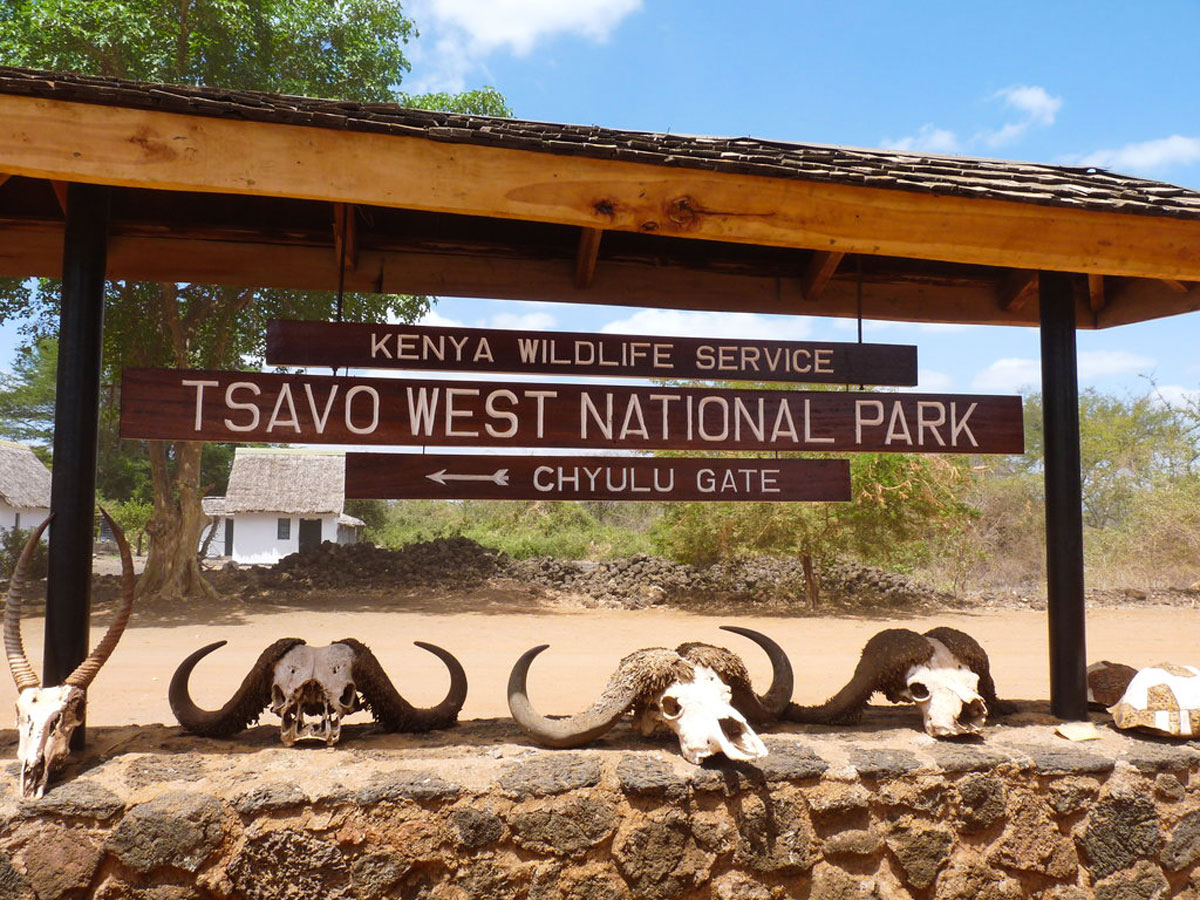 Read more about the article Tsavo West National Park