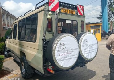 jeep safari